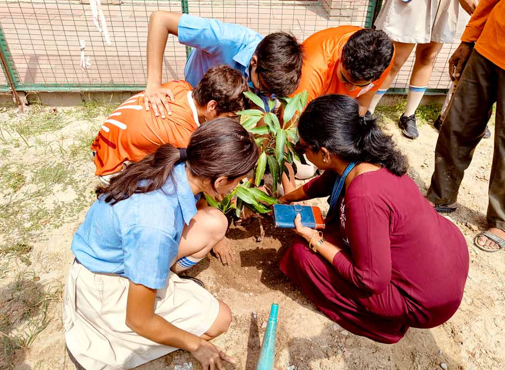 Greening the Future: Environmental Club Promotes Tree Plantation