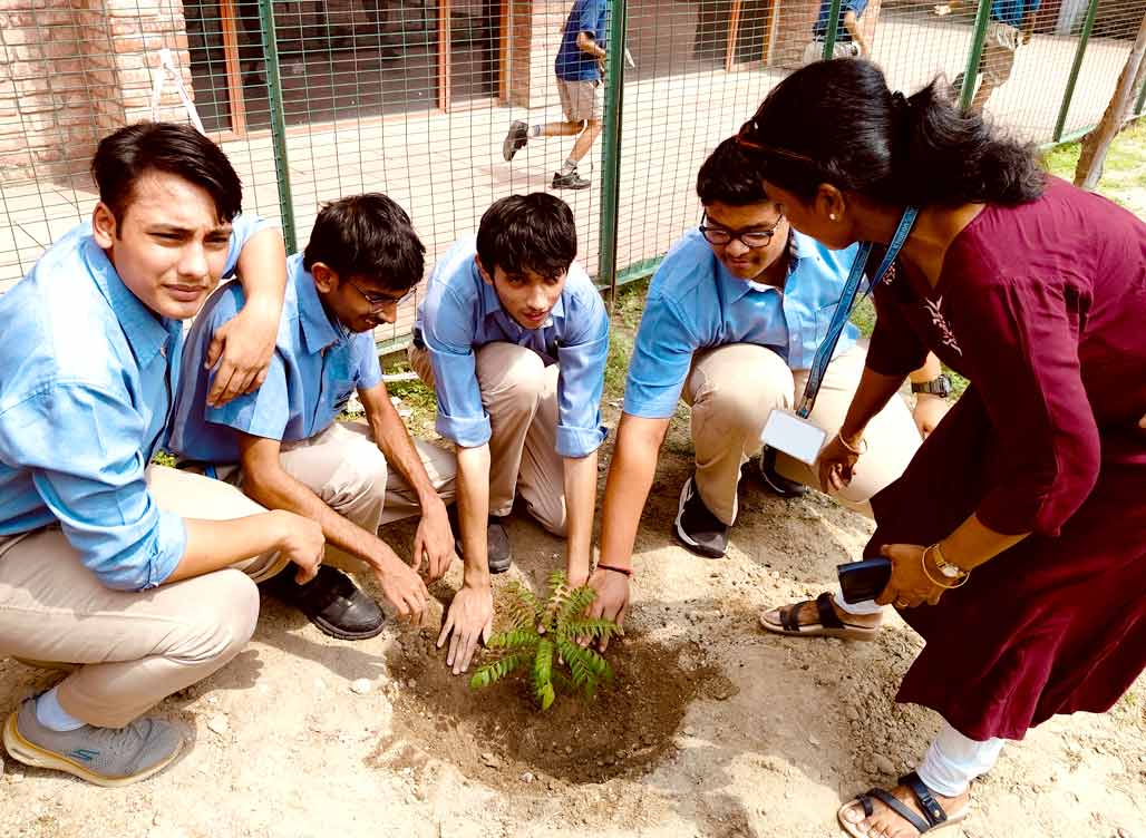 Greening the Future: Environmental Club Promotes Tree Plantation
