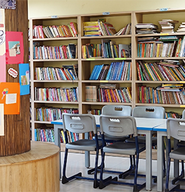 Junior Library for Nursery Kids
